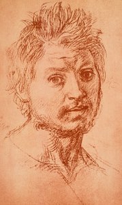 Virile Head by Andrea del Sarto